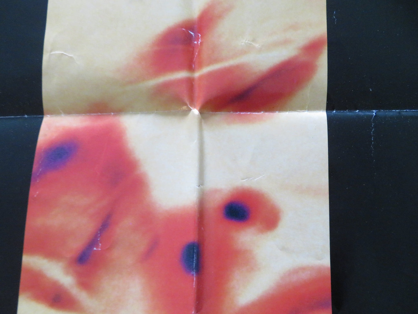 SLIVER FOLDED US ONE SHEET POSTER SHARON STONE WILLIAM BALDWIN 1993 Rendezvous Cinema Movie posters