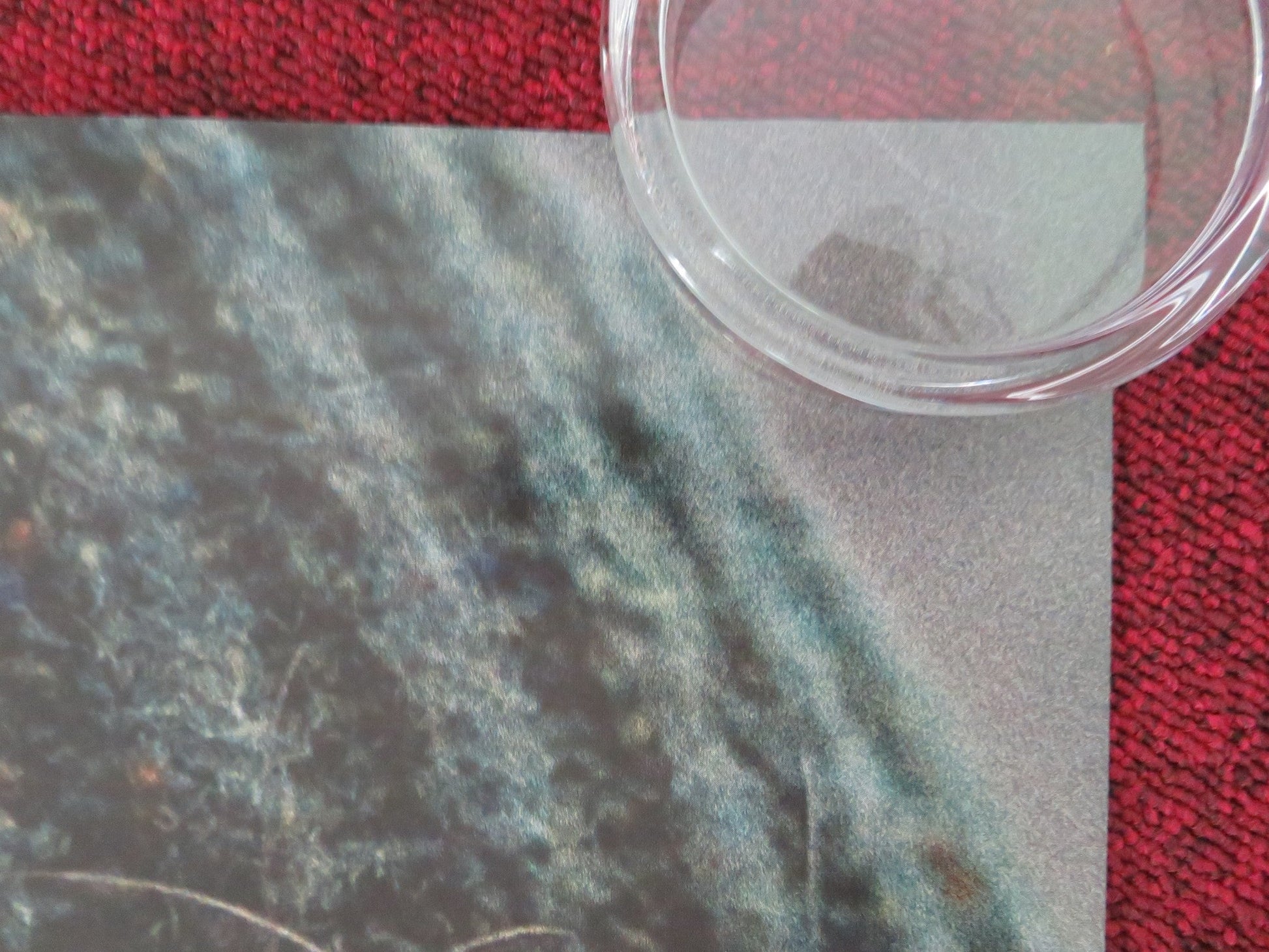 SMALL THINGS LIKE THESE US ONE SHEET ROLLED POSTER CILLIAN MURPHY P. RYAN 2024 Movie posters