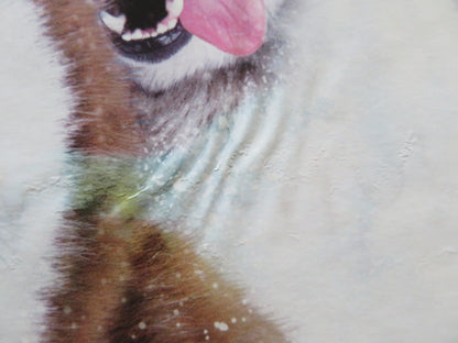 SNOW DOGS VHS VIDEO POSTER CUBA GOODING JR. JAMES COBURN 2002 Rendezvous Cinema Movie posters