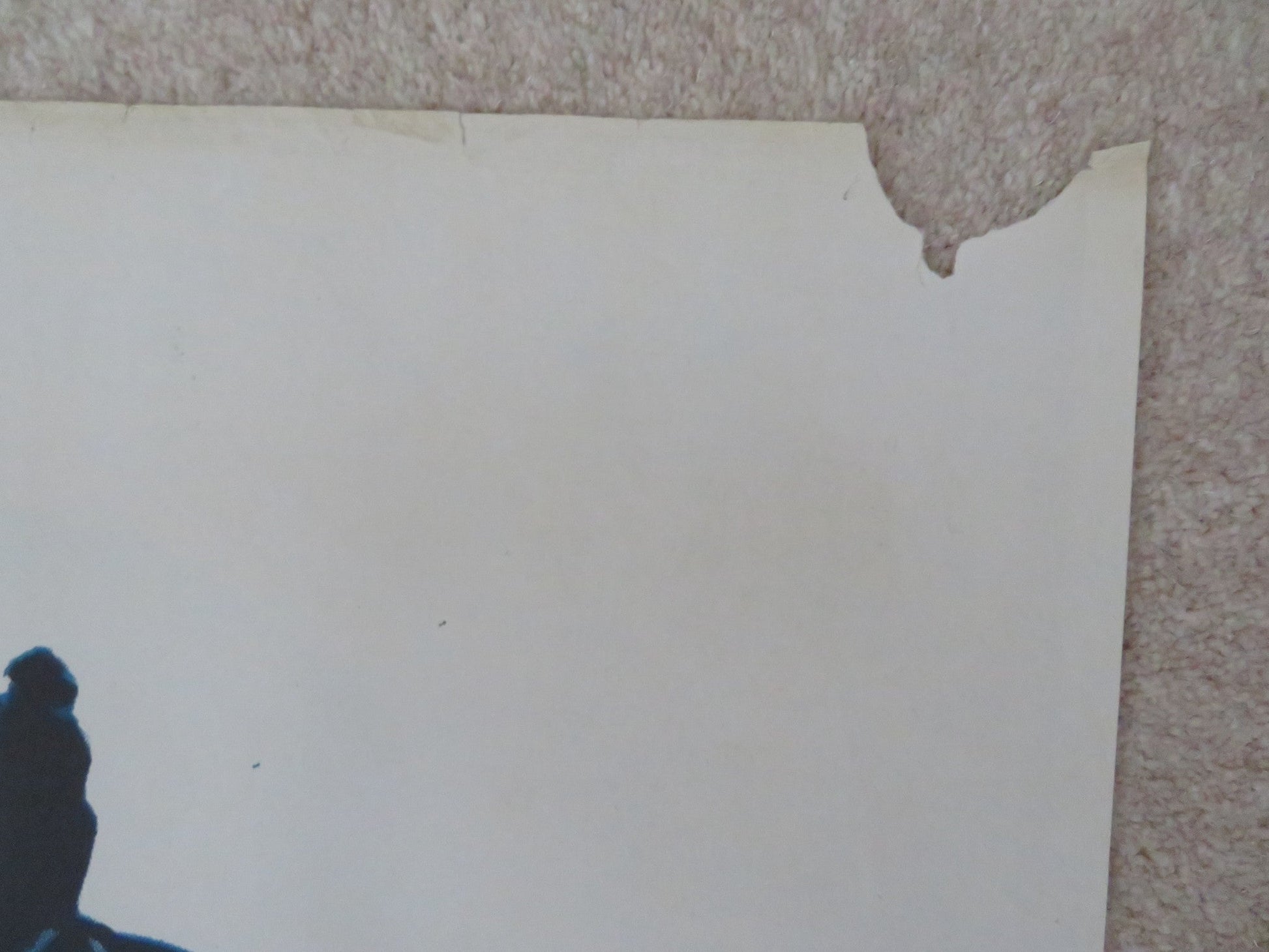 SNOW JOB ITALIAN 2 FOGLIO POSTER JEAN - CLAUDE KILLY DANIELE GAUBERT 1972 Rendezvous Cinema Movie posters