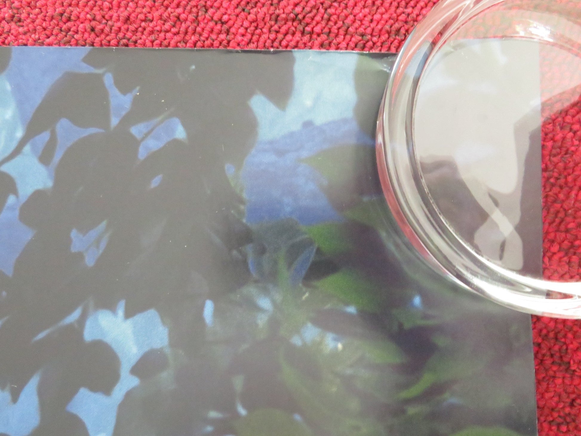 SNOW WHITE - A UK QUAD ROLLED POSTER DISNEY RACHEL ZEGLER GAL GADOT 2025 Movie posters