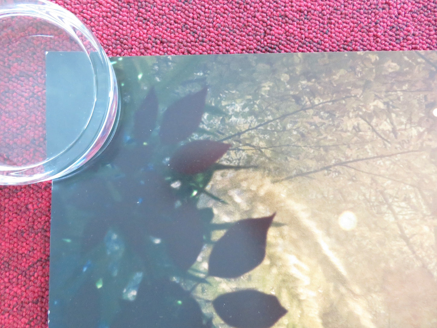 SNOW WHITE - B UK QUAD ROLLED POSTER DISNEY RACHEL ZEGLER GAL GADOT 2025 Movie posters