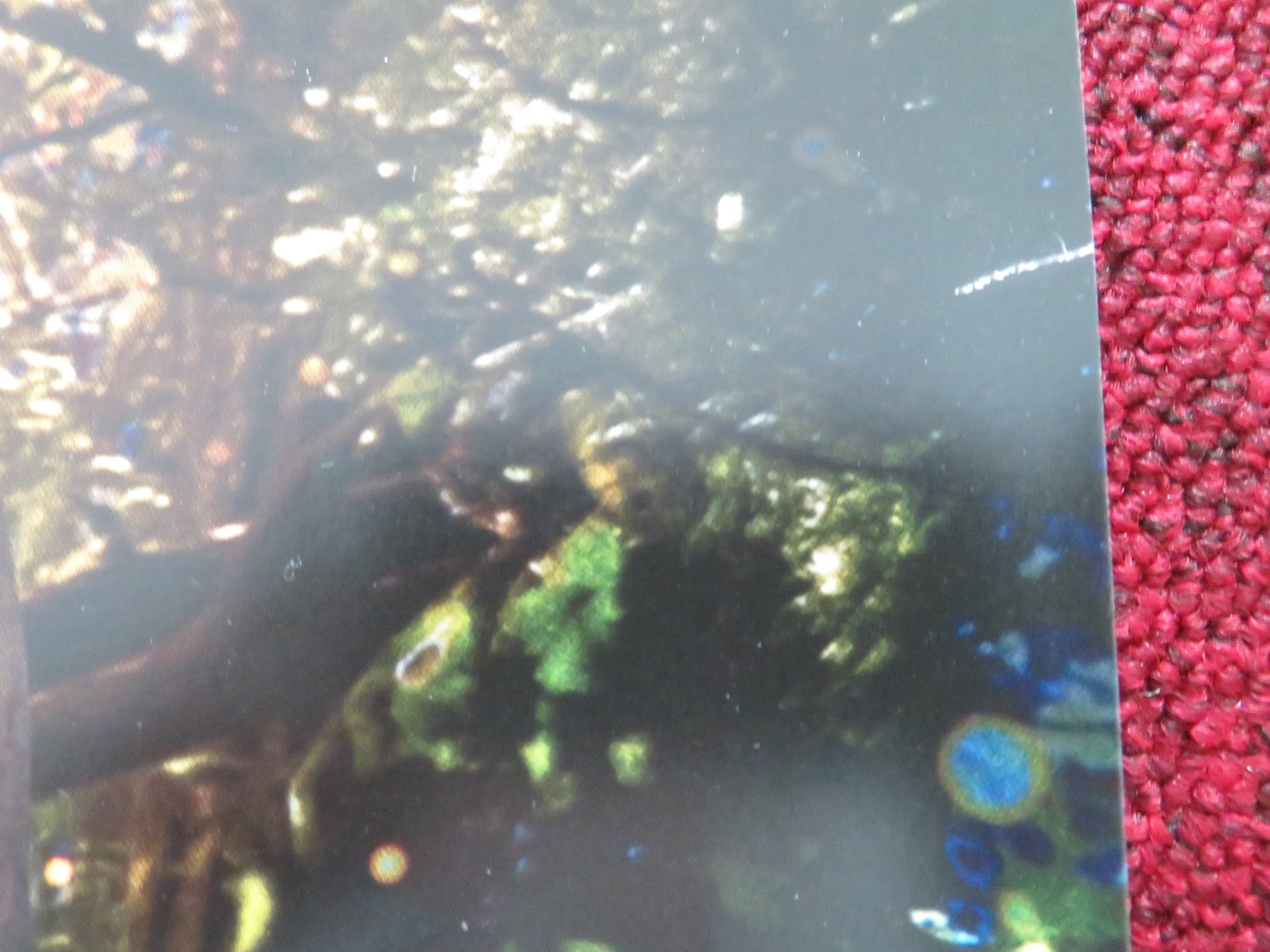 SNOW WHITE - B UK QUAD ROLLED POSTER DISNEY RACHEL ZEGLER GAL GADOT 2025 Movie posters