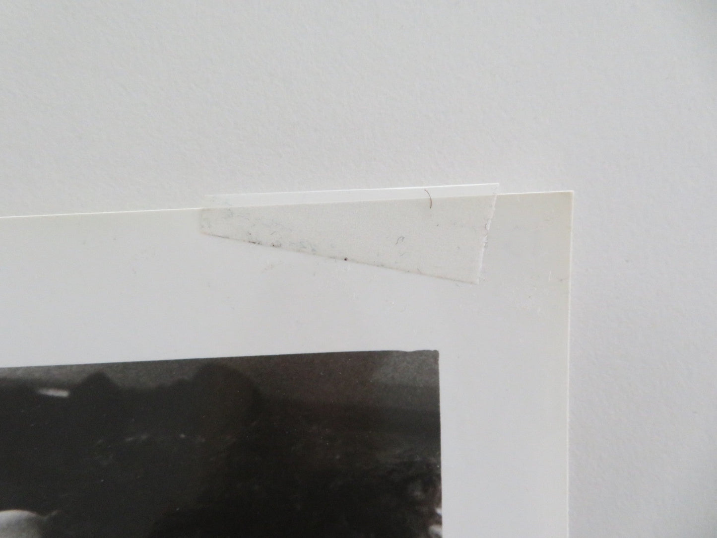 SOCIETY MOVIE STILL PHOTO DEVIN DEVASQUEZ BILLY WARLOCK 1989 Movie posters