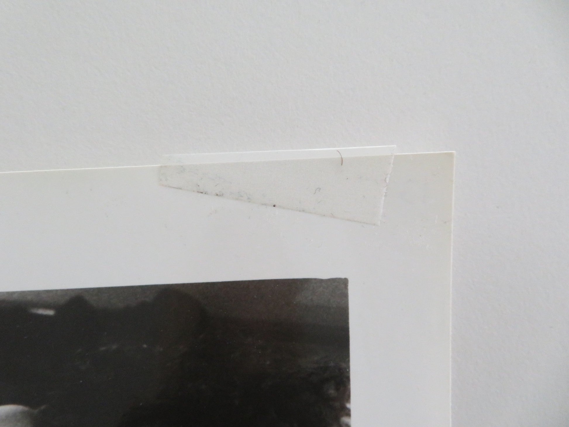 SOCIETY MOVIE STILL PHOTO DEVIN DEVASQUEZ BILLY WARLOCK 1989 Movie posters