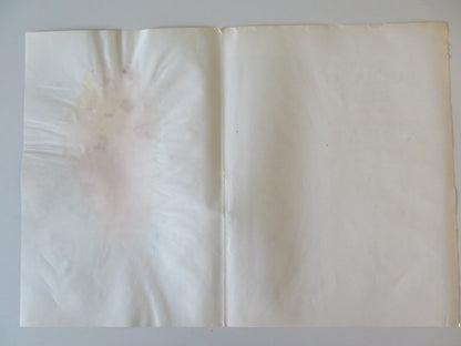 SOLDIER BLUE - A ITALIAN FOTOBUSTA POSTER CANDICE BERGEN DONALD PLEASENCE 1970 Rendezvous Cinema Movie posters