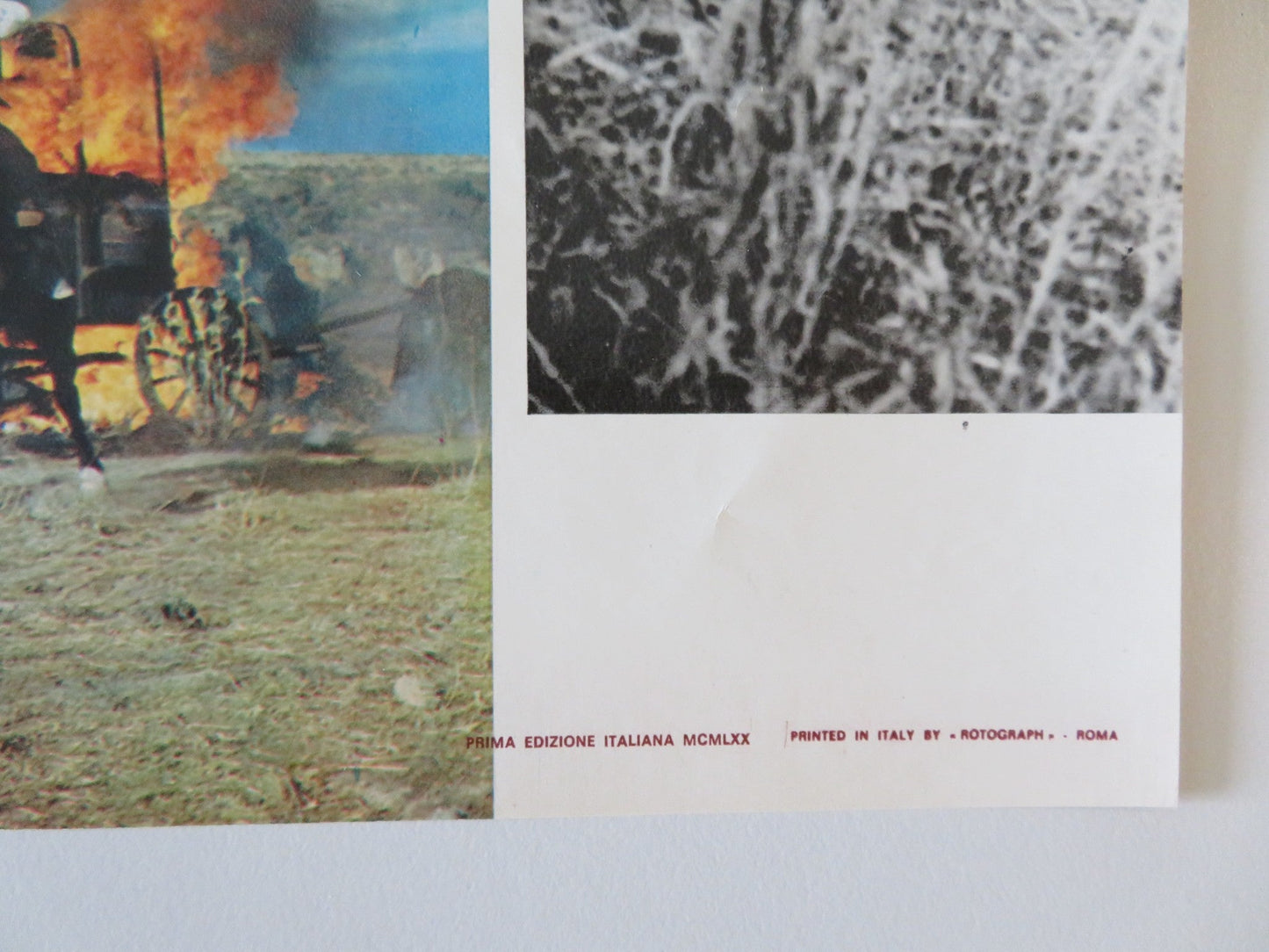 SOLDIER BLUE - A ITALIAN FOTOBUSTA POSTER CANDICE BERGEN DONALD PLEASENCE 1970 Rendezvous Cinema Movie posters