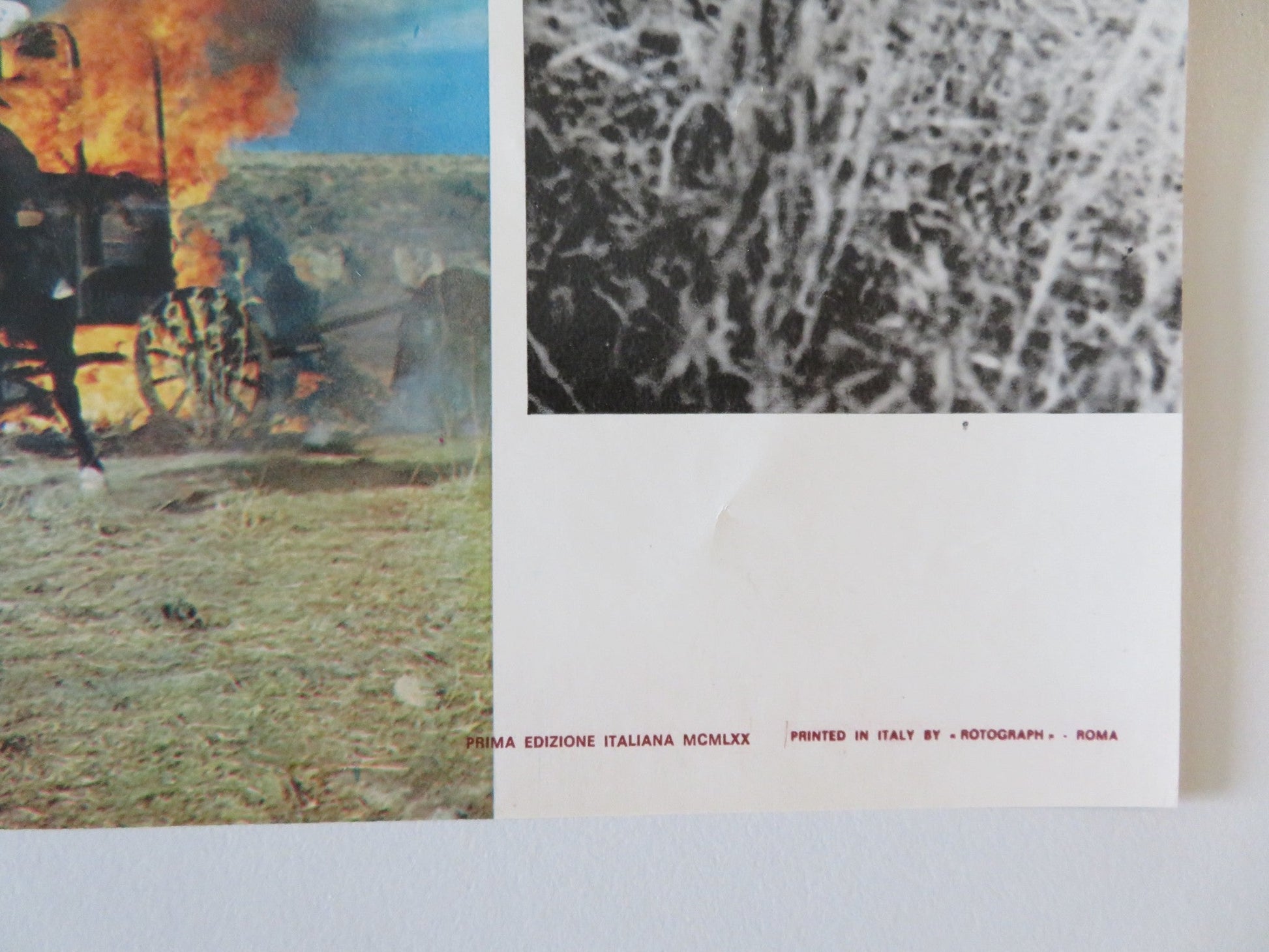 SOLDIER BLUE - A ITALIAN FOTOBUSTA POSTER CANDICE BERGEN DONALD PLEASENCE 1970 Rendezvous Cinema Movie posters