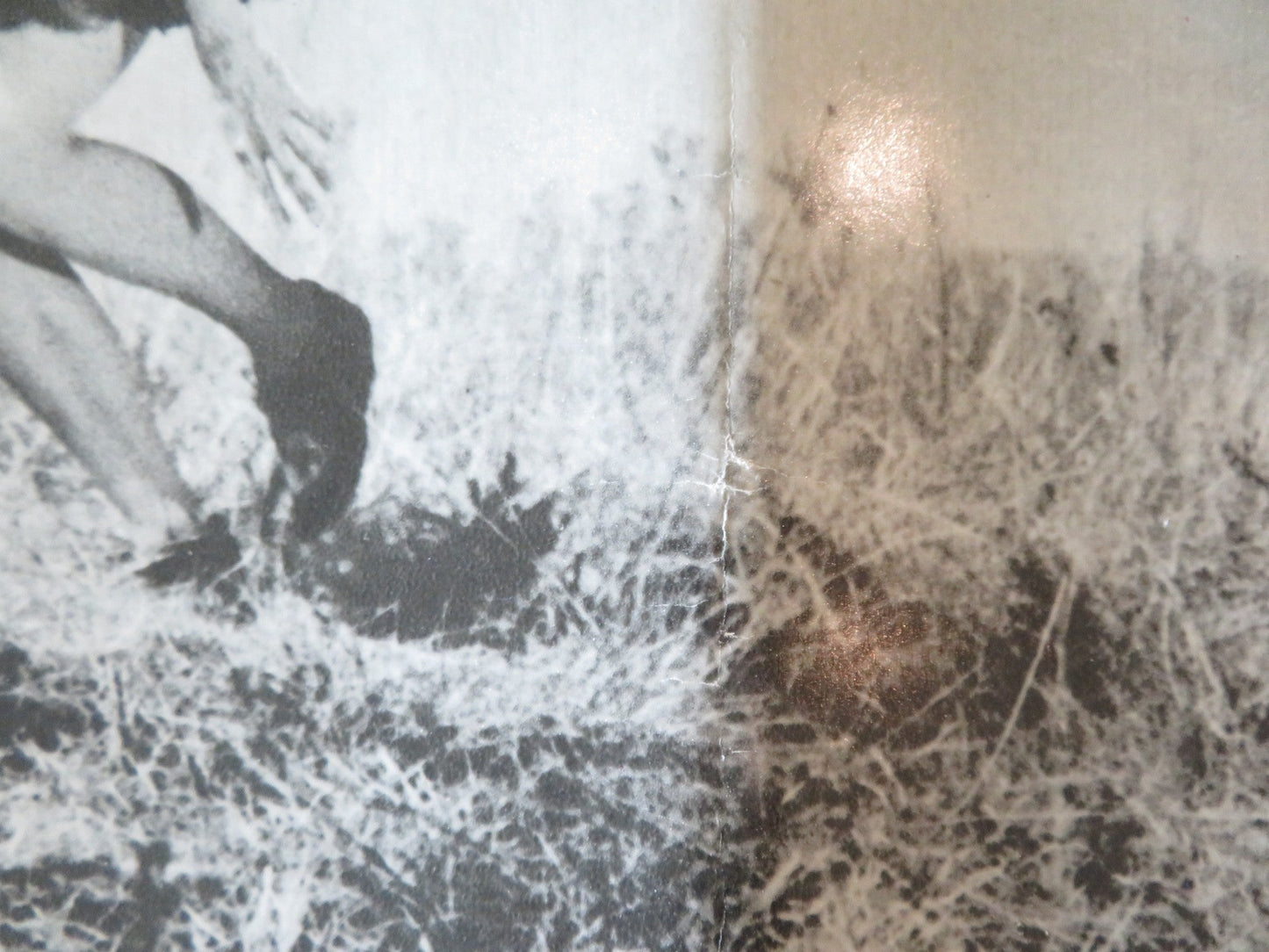 SOLDIER BLUE - A ITALIAN FOTOBUSTA POSTER CANDICE BERGEN DONALD PLEASENCE 1970 Rendezvous Cinema Movie posters