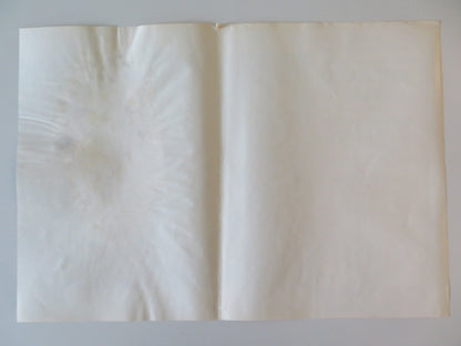 SOLDIER BLUE - B ITALIAN FOTOBUSTA POSTER CANDICE BERGEN DONALD PLEASENCE 1970 Rendezvous Cinema Movie posters