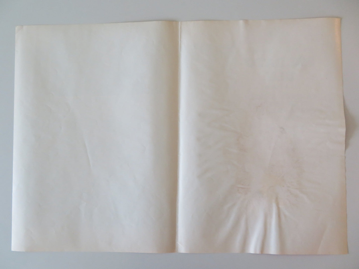 SOLDIER BLUE - C ITALIAN FOTOBUSTA POSTER CANDICE BERGEN DONALD PLEASENCE 1970 Rendezvous Cinema Movie posters