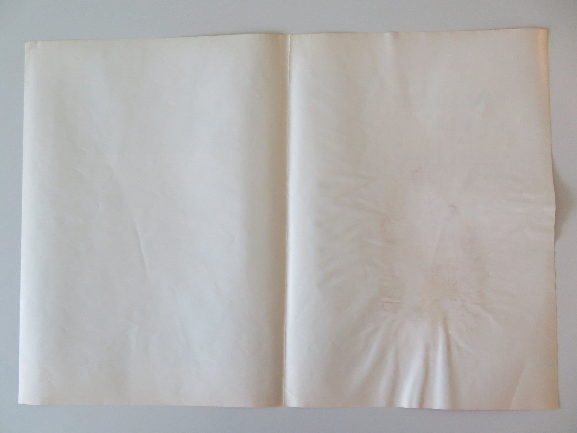 SOLDIER BLUE - C ITALIAN FOTOBUSTA POSTER CANDICE BERGEN DONALD PLEASENCE 1970 Rendezvous Cinema Movie posters