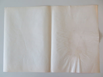 SOLDIER BLUE - C ITALIAN FOTOBUSTA POSTER CANDICE BERGEN DONALD PLEASENCE 1970 Rendezvous Cinema Movie posters