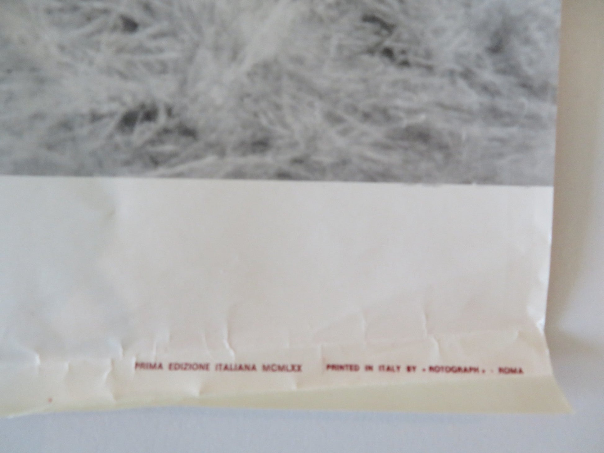 SOLDIER BLUE - D ITALIAN FOTOBUSTA POSTER CANDICE BERGEN DONALD PLEASENCE 1970 Rendezvous Cinema Movie posters