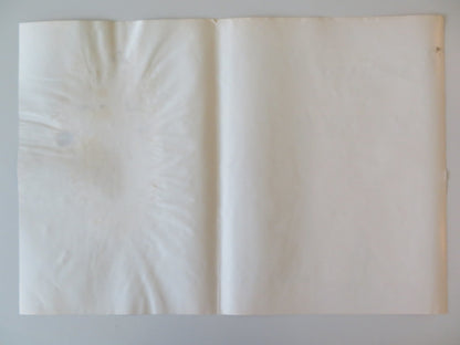 SOLDIER BLUE - E ITALIAN FOTOBUSTA POSTER CANDICE BERGEN DONALD PLEASENCE 1970 Rendezvous Cinema Movie posters