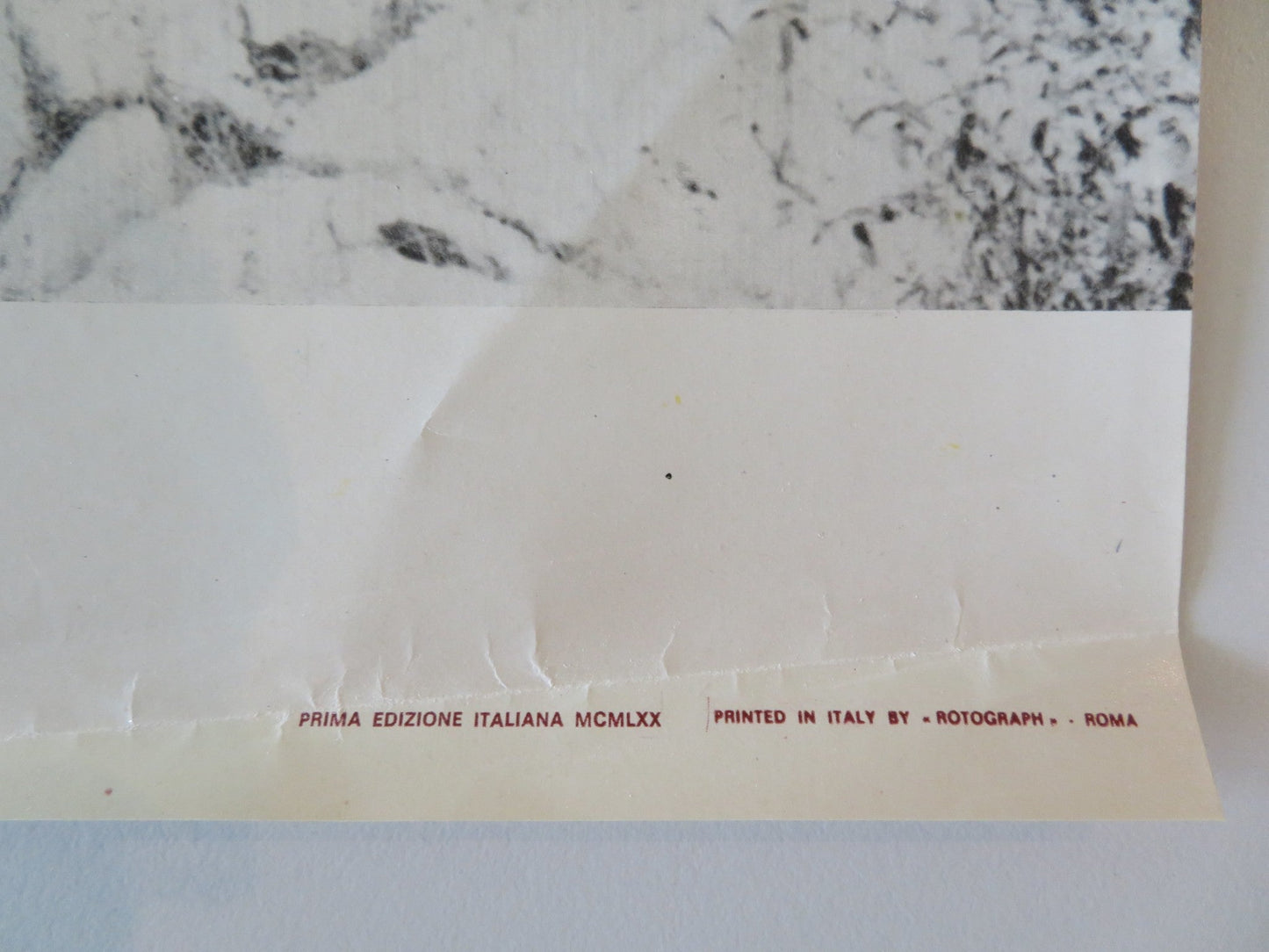 SOLDIER BLUE - F ITALIAN FOTOBUSTA POSTER CANDICE BERGEN DONALD PLEASENCE 1970 Rendezvous Cinema Movie posters