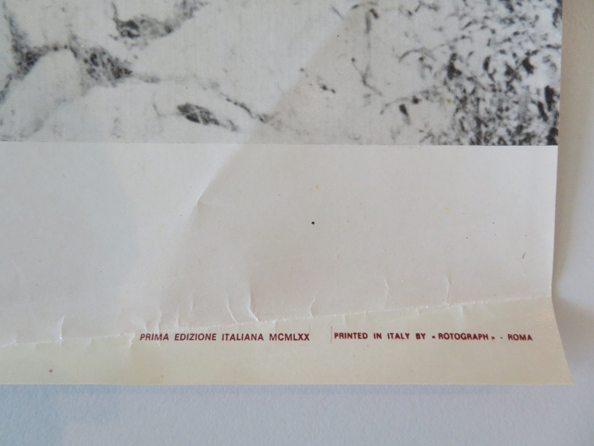 SOLDIER BLUE - F ITALIAN FOTOBUSTA POSTER CANDICE BERGEN DONALD PLEASENCE 1970 Rendezvous Cinema Movie posters