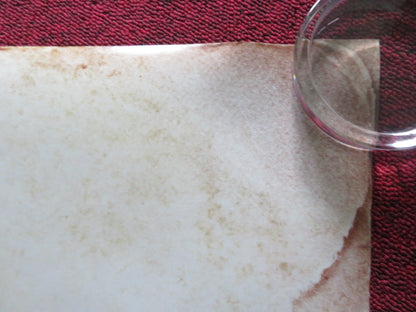 SOLO: A STAR WARS STORY - CHEWIE US ONE SHEET ROLLED POSTER A. EHRENREICH 2018 Rendezvous Cinema Movie posters