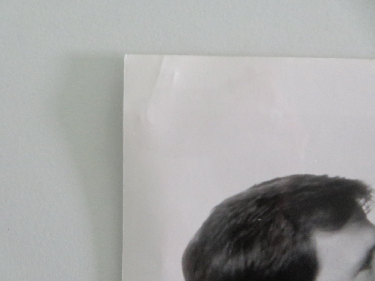 SOMETHING WILD - B MOVIE STILL PHOTO LOT OF 4 JEFF DANIELS MELANIE GRIFFITHS 1986 Movie posters