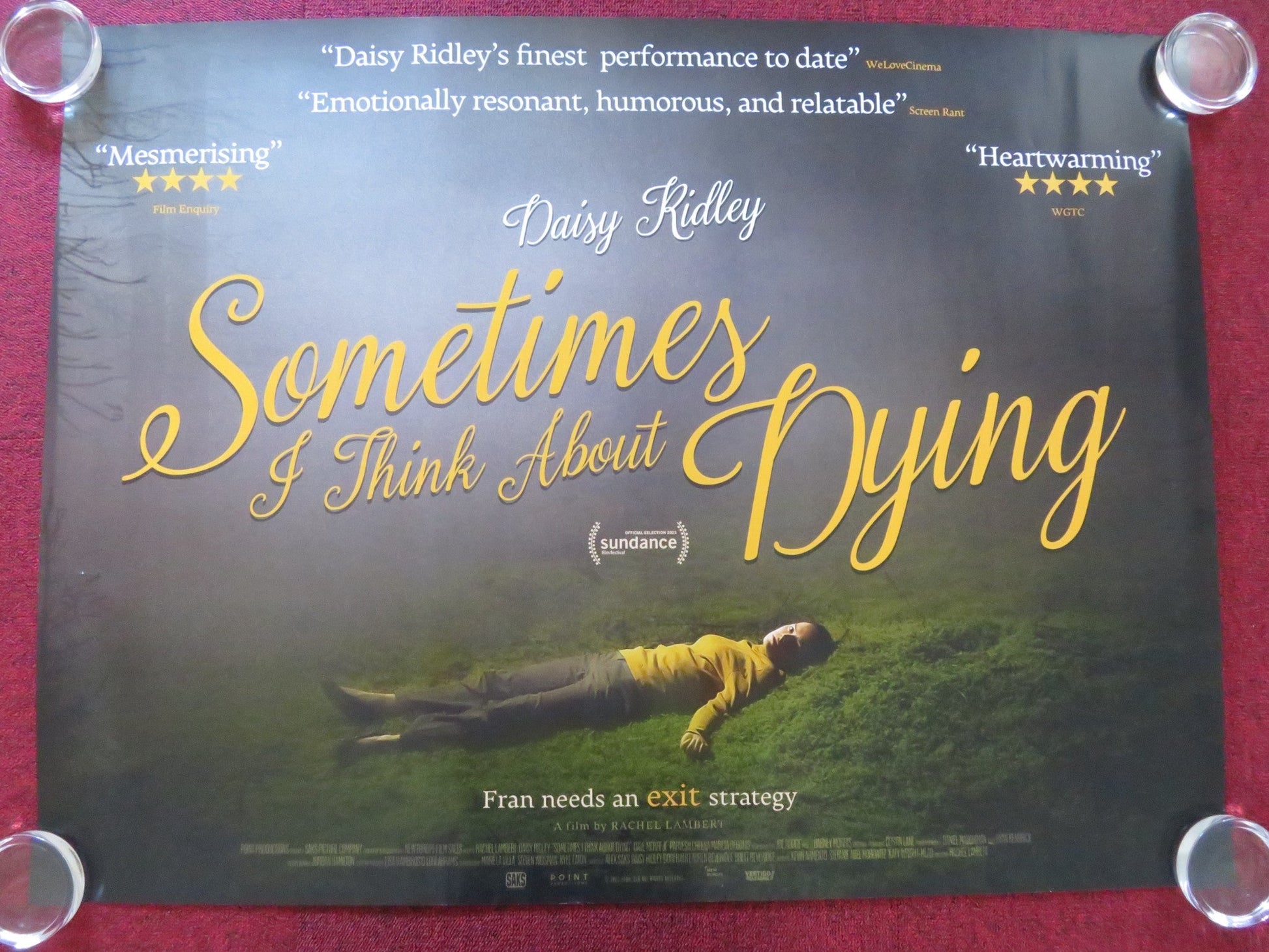 SOMETIMES I THINK ABOUT DYING UK QUAD ROLLED POSTER DAISY RIDLEY MERHEJE 2023 Rendezvous Cinema Movie posters