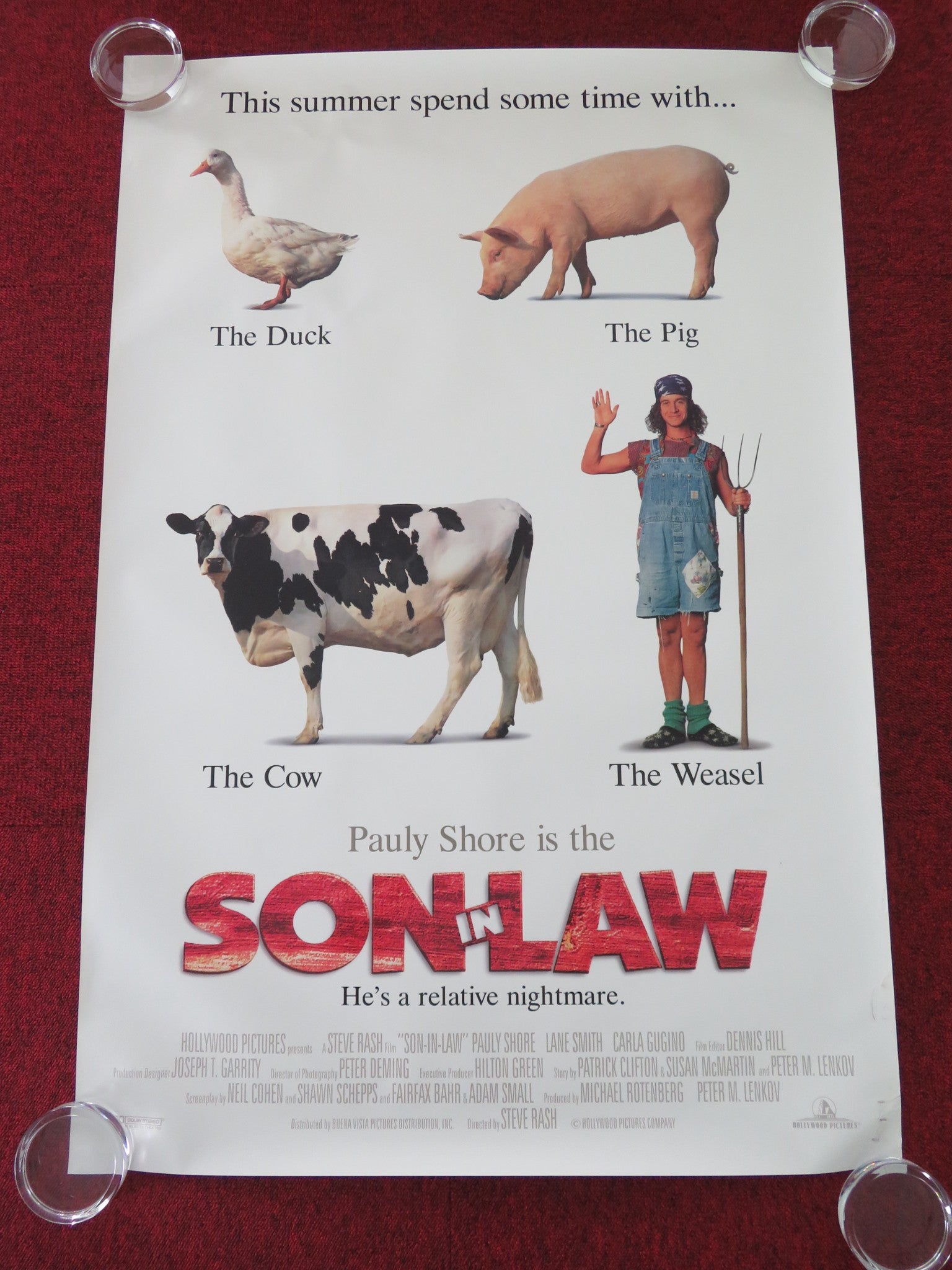 SON IN LAW US ONE SHEET ROLLED POSTER PAULY SHORE CARLA GUGINO 1993 Movie posters
