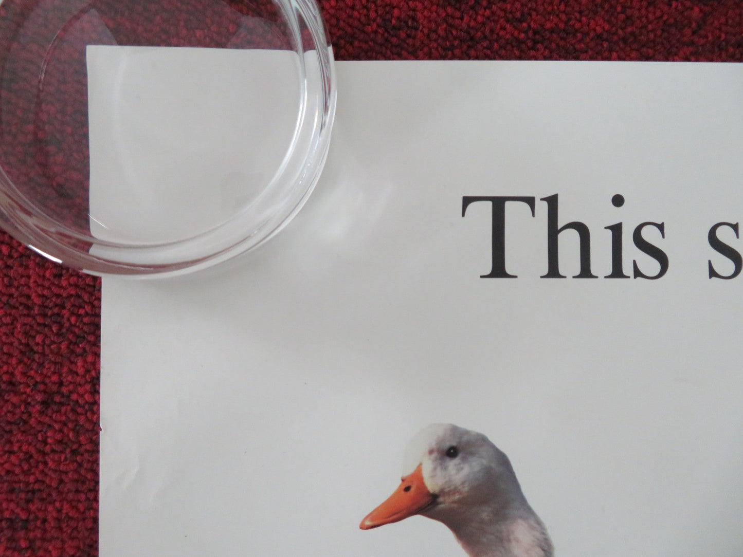 SON IN LAW US ONE SHEET ROLLED POSTER PAULY SHORE CARLA GUGINO 1993 Movie posters