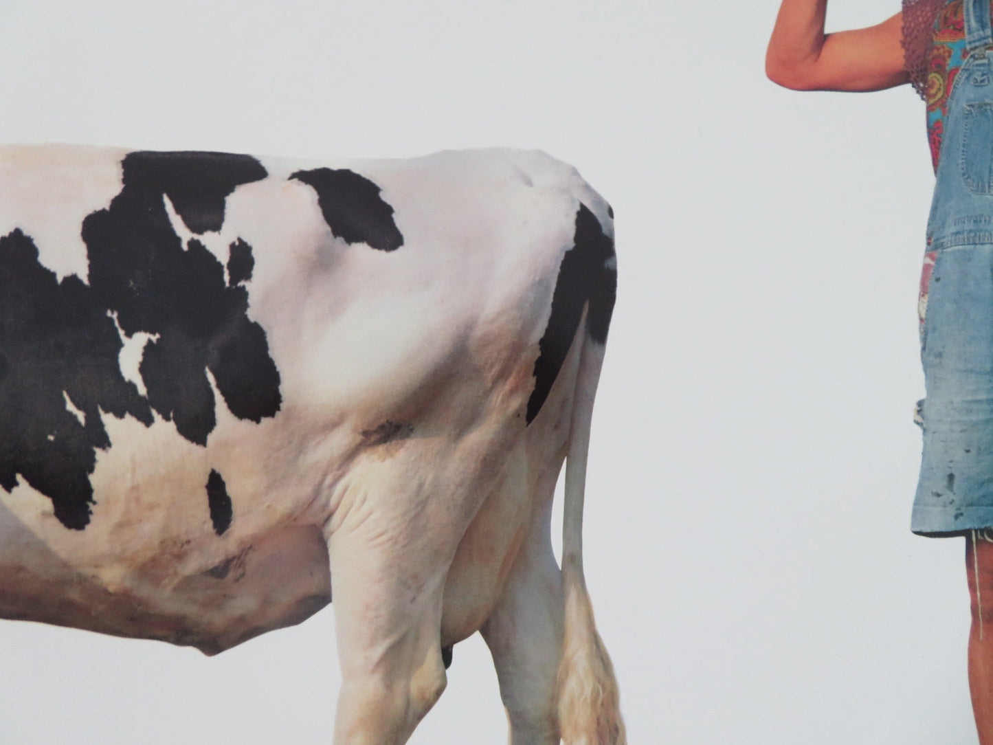 SON IN LAW US ONE SHEET ROLLED POSTER PAULY SHORE CARLA GUGINO 1993 Movie posters