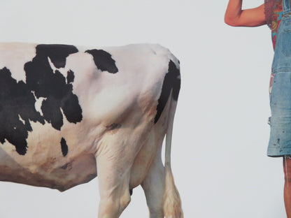 SON IN LAW US ONE SHEET ROLLED POSTER PAULY SHORE CARLA GUGINO 1993 Movie posters