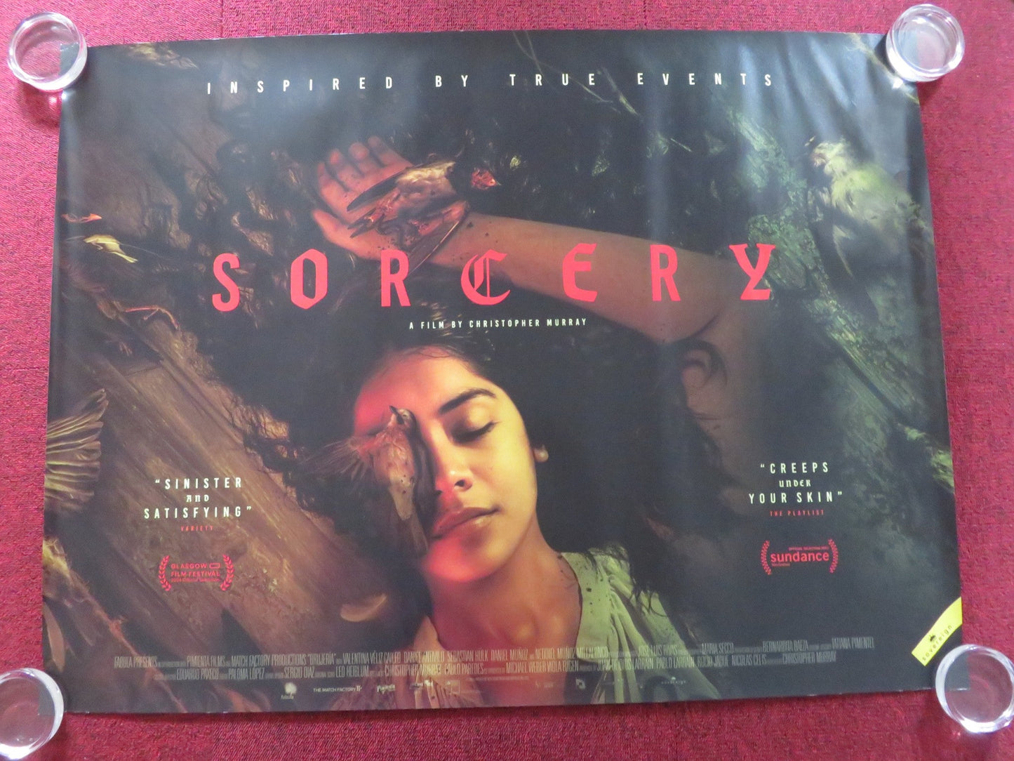 SORCERY UK QUAD ROLLED POSTER VALENTINA VELIZ CAILEO 2023 Rendezvous Cinema Movie posters
