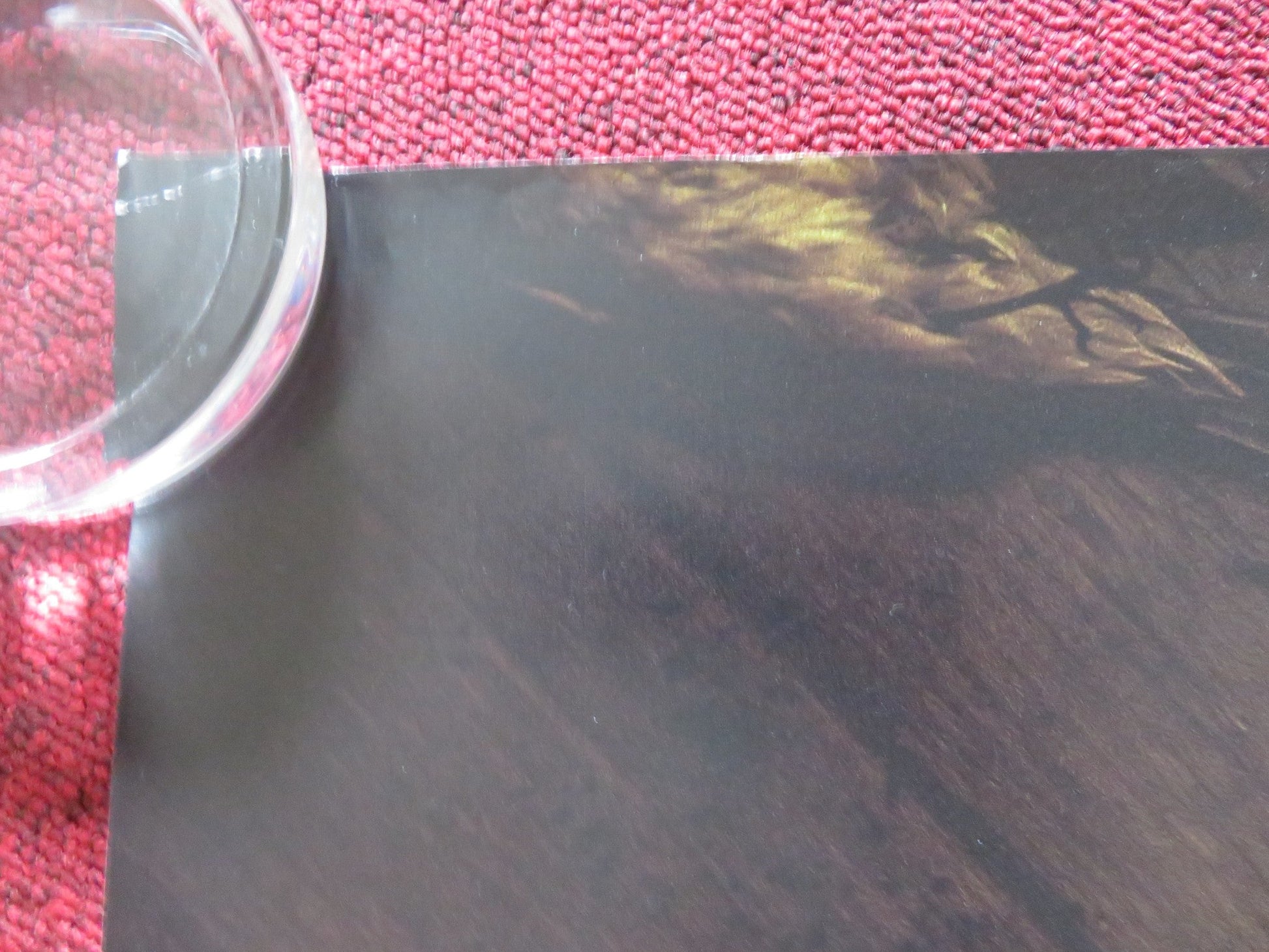 SORCERY UK QUAD ROLLED POSTER VALENTINA VELIZ CAILEO 2023 Rendezvous Cinema Movie posters