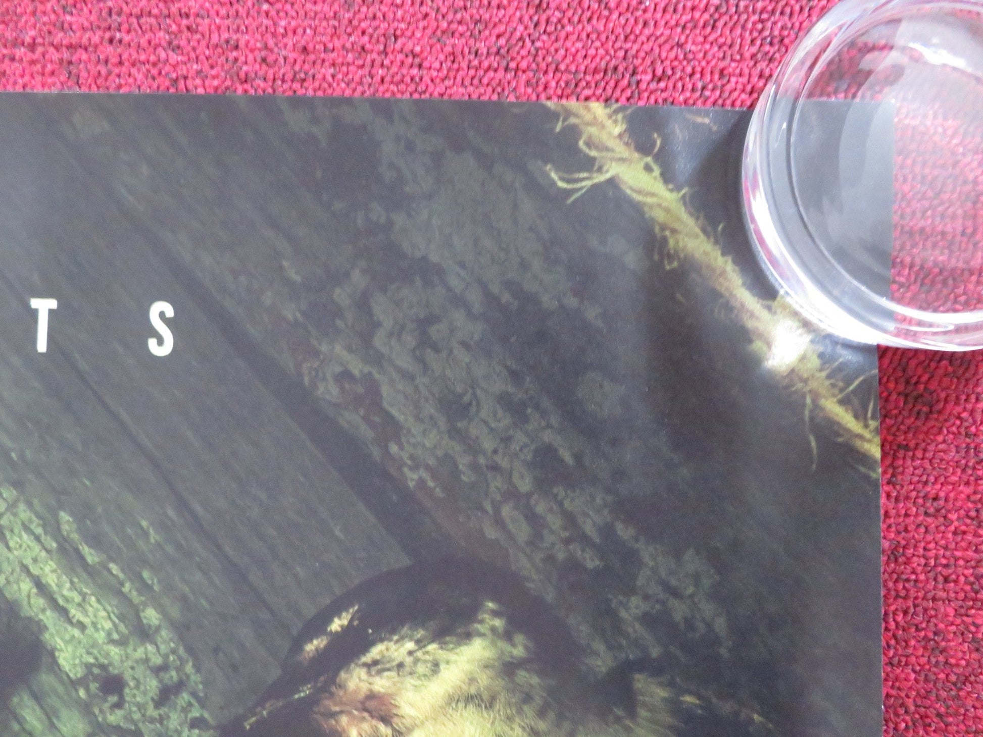 SORCERY UK QUAD ROLLED POSTER VALENTINA VELIZ CAILEO 2023 Rendezvous Cinema Movie posters