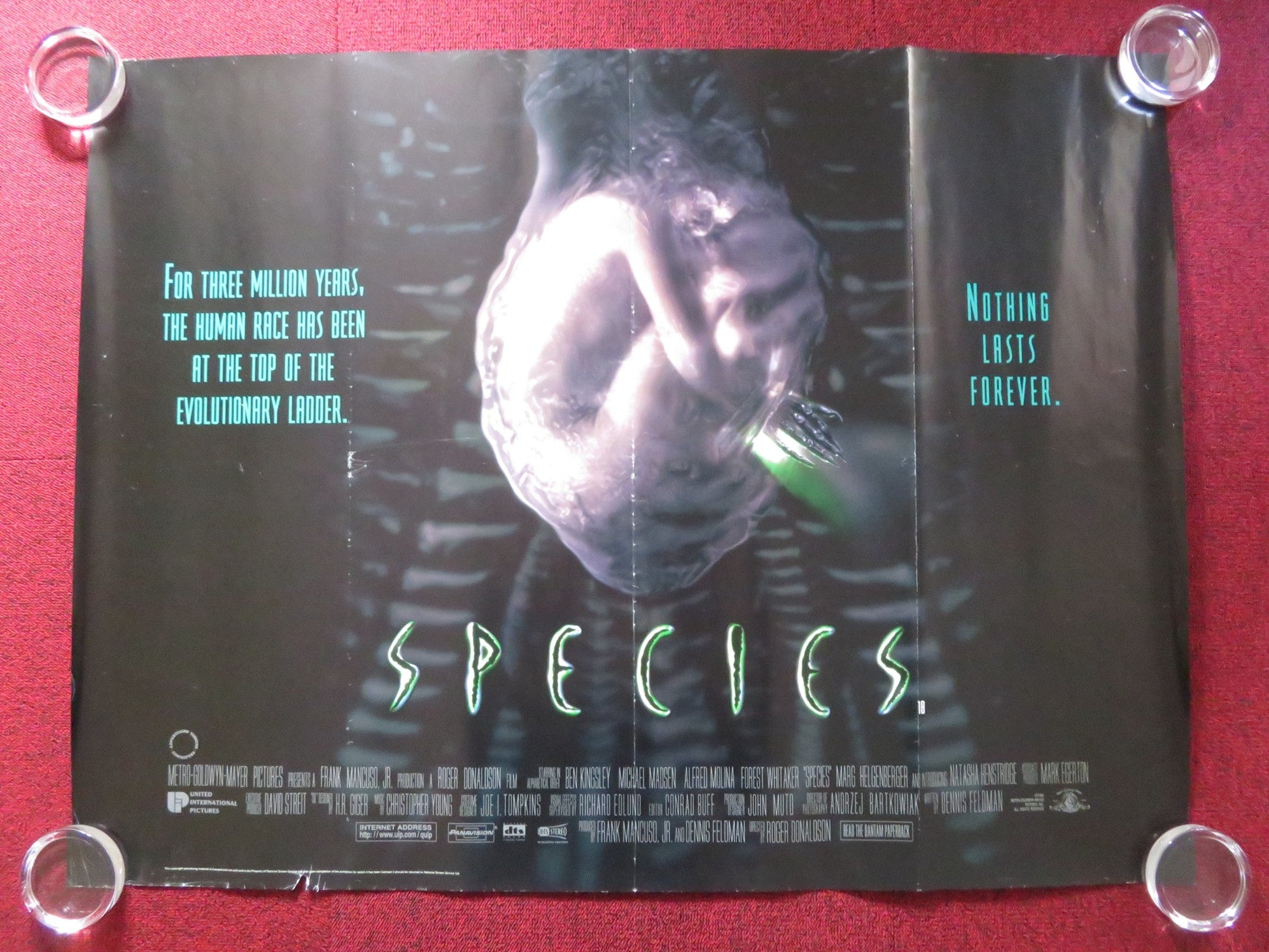 SPECIES - B UK QUAD ROLLED POSTER BEN KINGSLEY MICHAEL MADSEN 1995 Rendezvous Cinema Movie posters