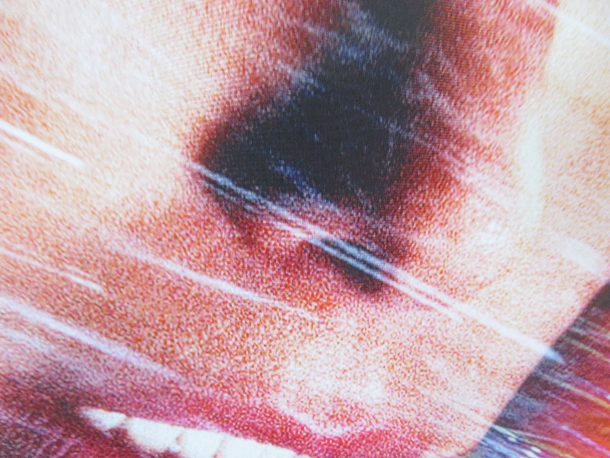 SPEED 2: CRUISE CONTROL VHS VIDEO POSTER ROLLED SANDRA BULLOCK JASON PATRIC 1997 Rendezvous Cinema Movie posters