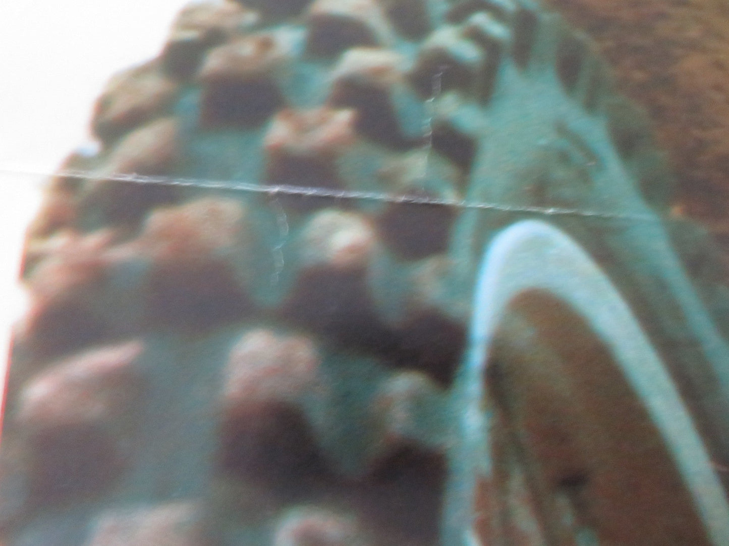 SPEED CROSS YUGOSLAVIAN POSTER ROLLED FABIO TESTI VITTORIO MEZZOGIORNO 1980 Movie posters