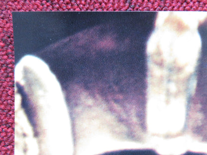 SPHINX - A ITALIAN FOTOBUSTA POSTER LESLEY - ANNE DOWN FRANK LANGELLA 1981 Rendezvous Cinema Movie posters