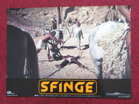 SPHINX - B ITALIAN FOTOBUSTA POSTER LESLEY - ANNE DOWN FRANK LANGELLA 1981 Rendezvous Cinema Movie posters