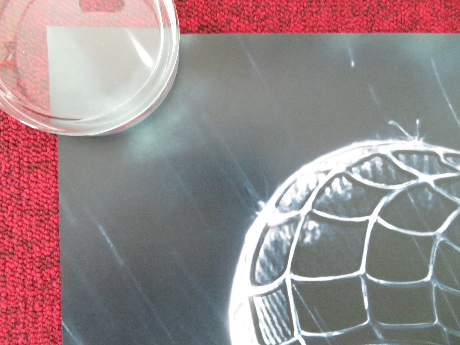SPIDER - MAN 3 - C US ONE SHEET ROLLED POSTER TOBEY MAGUIRE KIRSTEN DUNST 2007 Movie posters