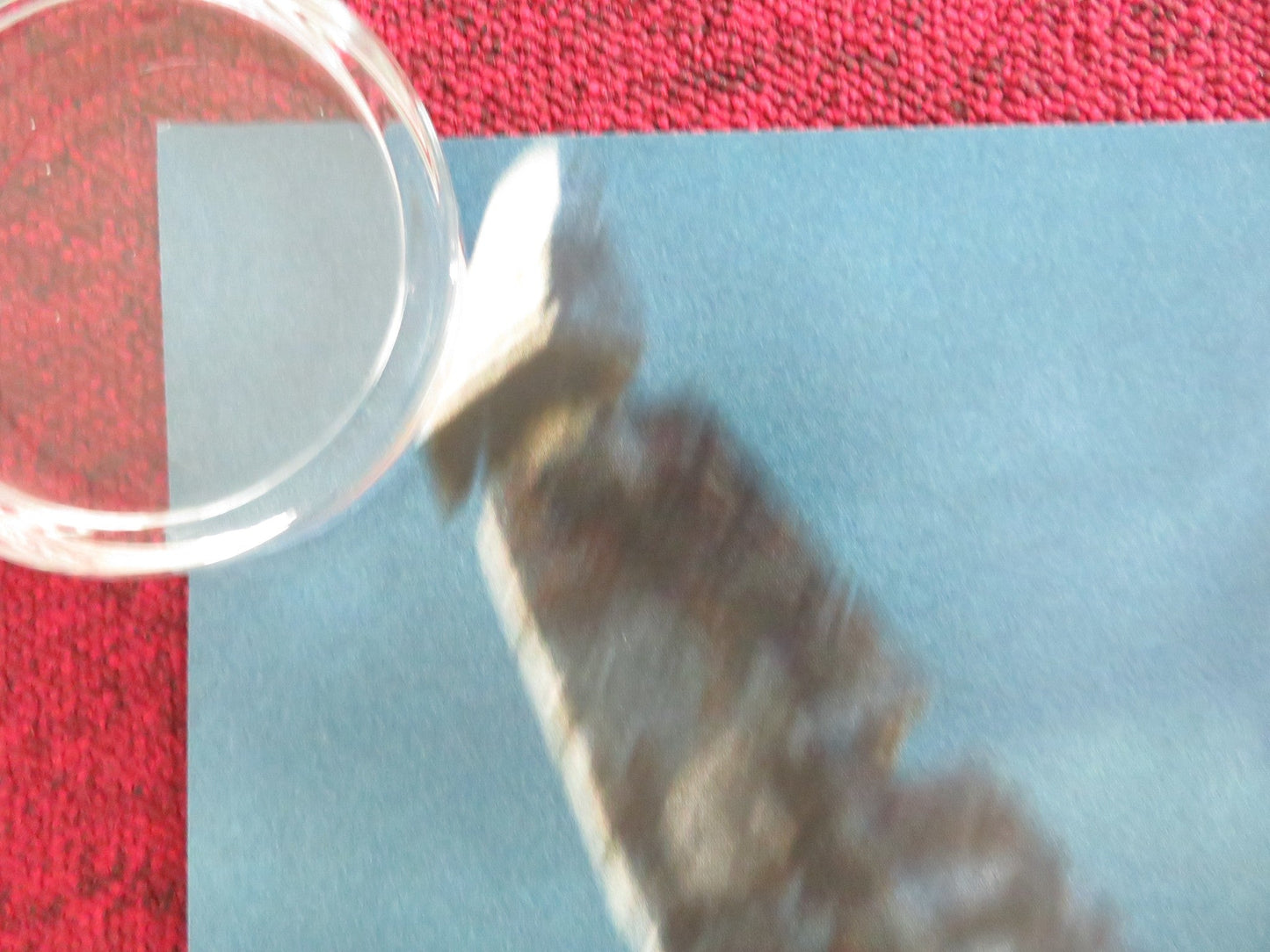 SPIDER - MAN NO WAY HOME UK QUAD ROLLED POSTER MARVEL TOM HOLLAND ZENDAYA 2021 Movie posters