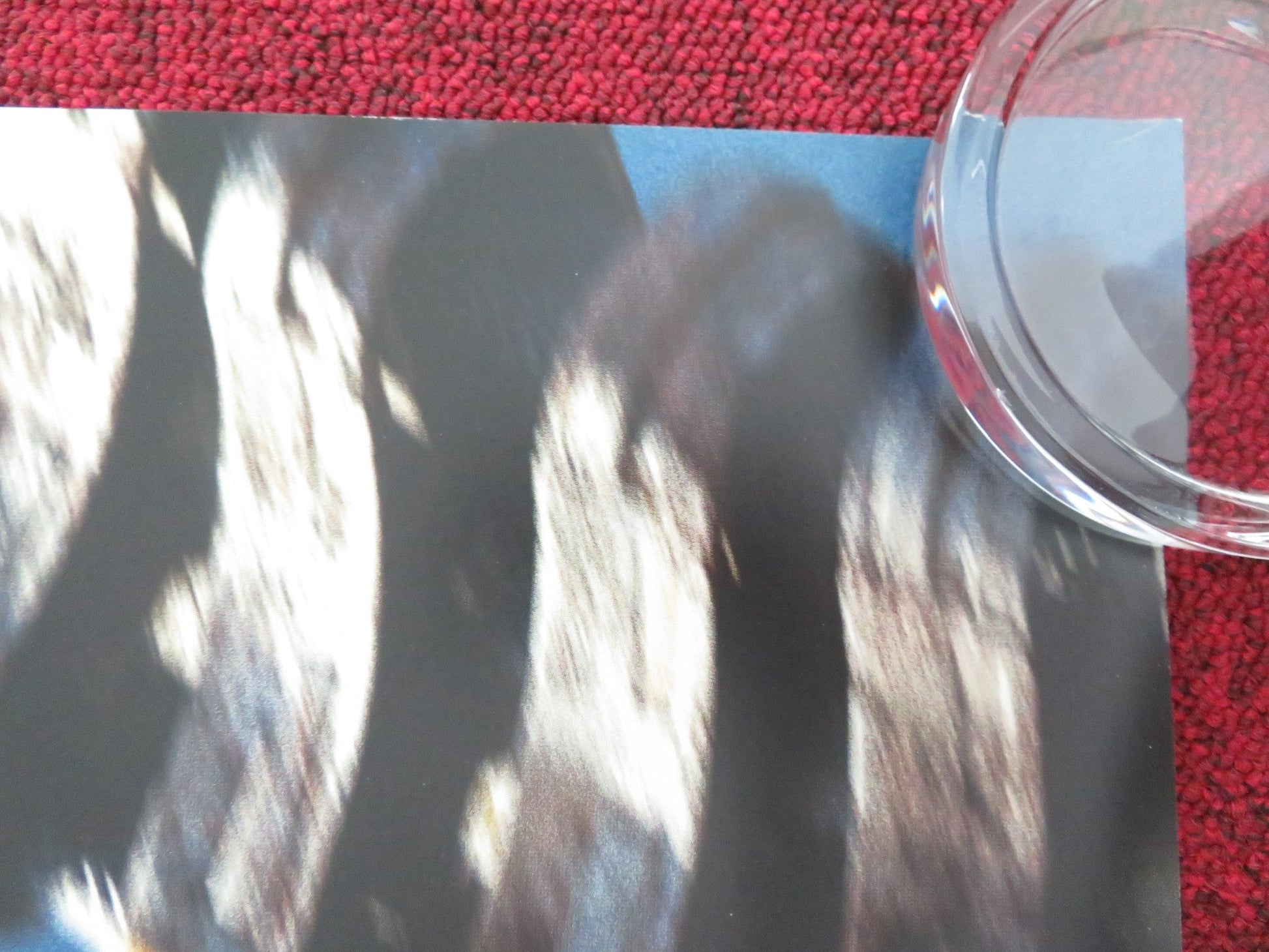 SPIDER - MAN NO WAY HOME UK QUAD ROLLED POSTER MARVEL TOM HOLLAND ZENDAYA 2021 Movie posters