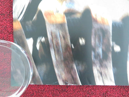 SPIDER - MAN NO WAY HOME UK QUAD ROLLED POSTER MARVEL TOM HOLLAND ZENDAYA 2021 Movie posters