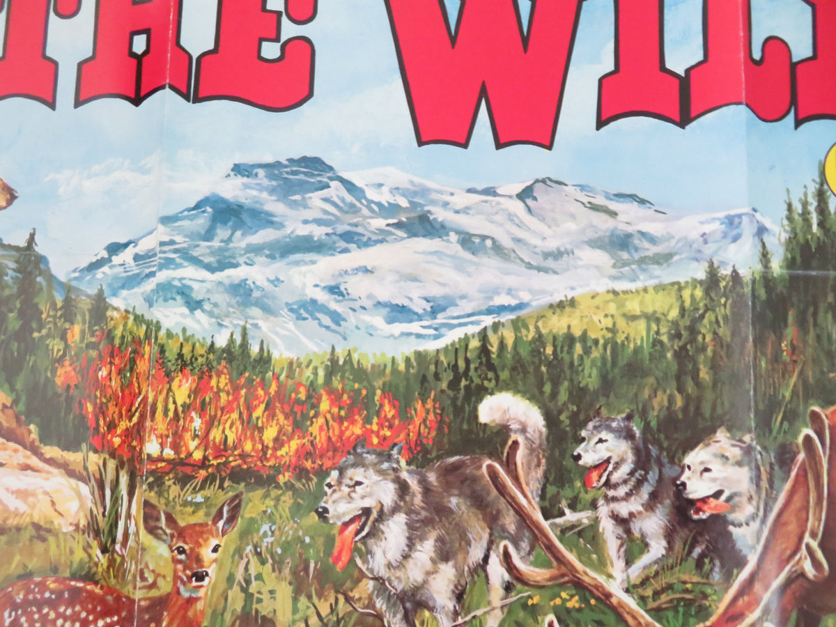 Spirit of the Wild UK Quad Rolled Poster Dan Haggerty Denver Pyle 1980 Movie posters