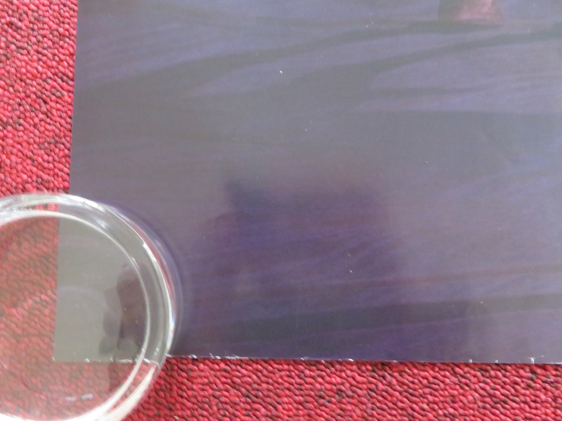 SPIRIT UNTAMED UK QUAD ROLLED POSTER ISABELA MERCED MARSAI MARTIN 2021 Rendezvous Cinema Movie posters