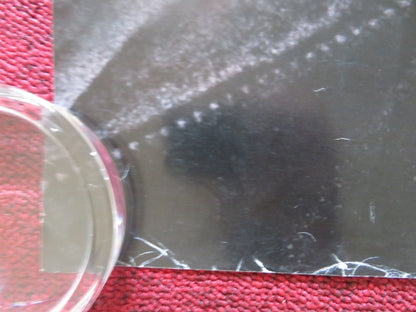 SPY GAME UK QUAD ROLLED POSTER BRAD PITT ROBERT REDFORD 2001 Rendezvous Cinema Movie posters