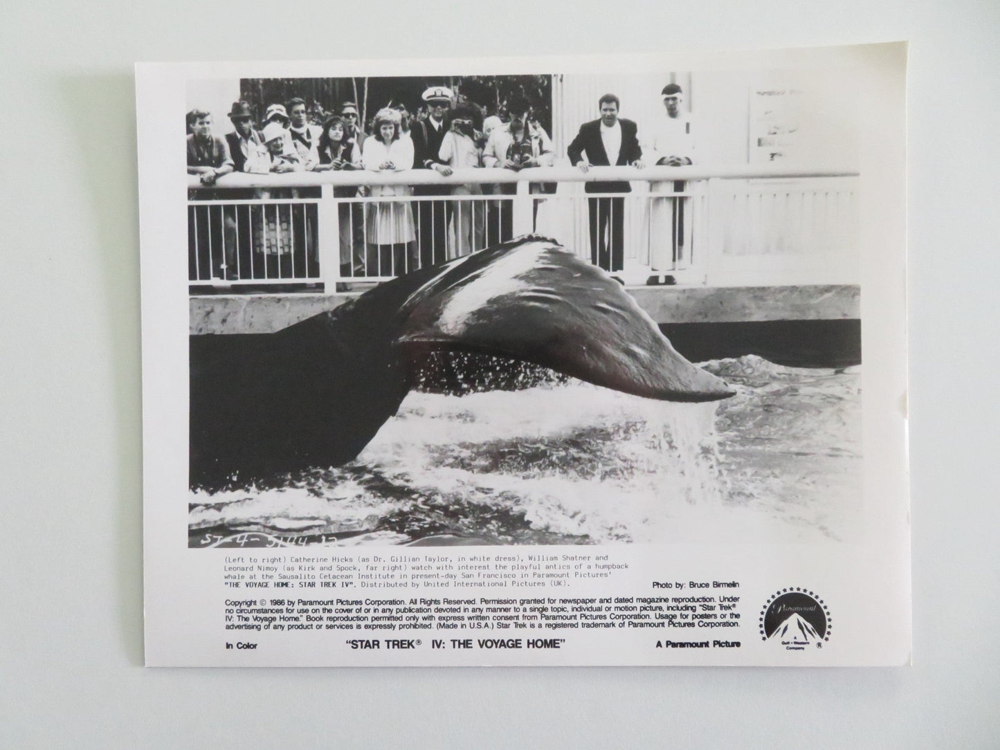 STAR TREK IV: THE VOYAGE HOME MOVIE STILL PHOTO LOT OF 6 WILLIAM SHATNER 1986 Movie posters