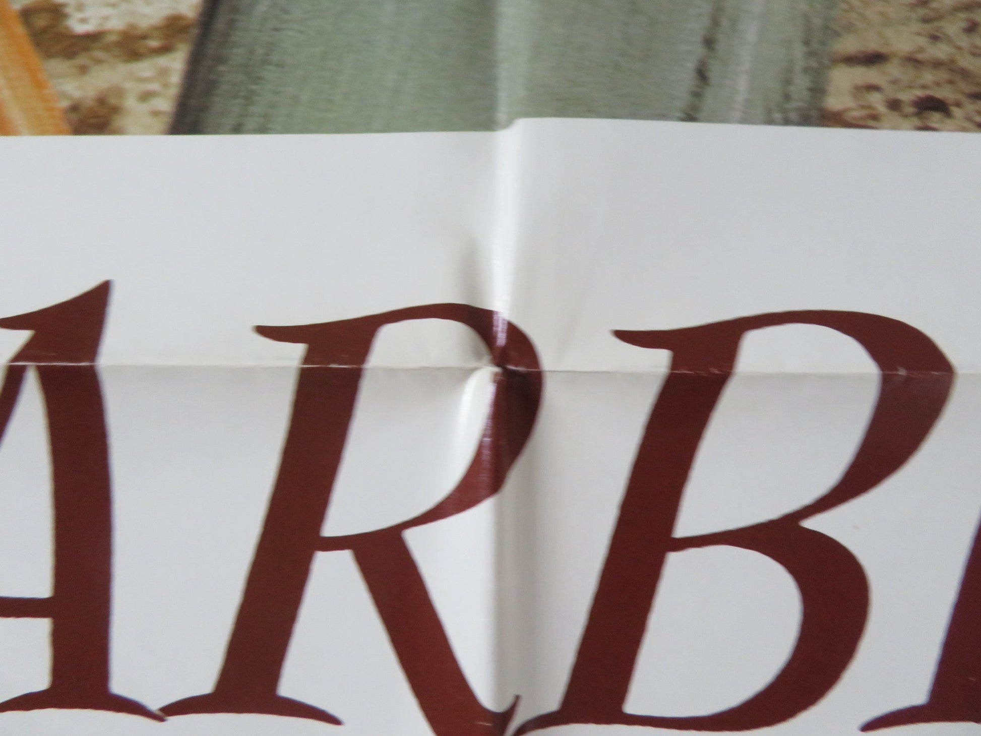 STARBIRD AND SWEET WILLIAM FOLDED US ONE SHEET POSTER A MARTINEZ L. LEWIS 1975 Rendezvous Cinema Movie posters