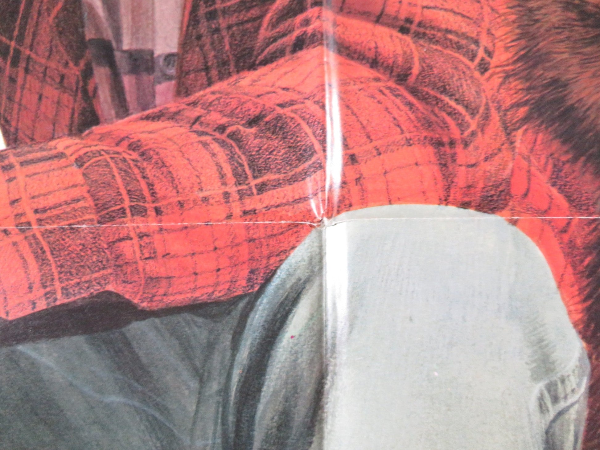 STARBIRD AND SWEET WILLIAM FOLDED US ONE SHEET POSTER A MARTINEZ L. LEWIS 1975 Rendezvous Cinema Movie posters