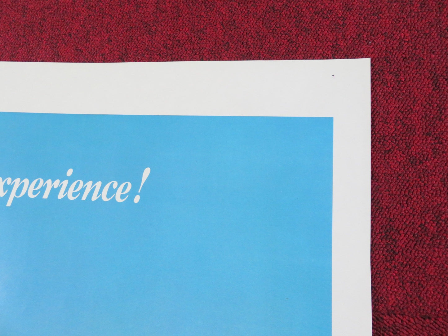 STARBIRD AND SWEET WILLIAM FOLDED US ONE SHEET POSTER A MARTINEZ L. LEWIS 1975 Rendezvous Cinema Movie posters