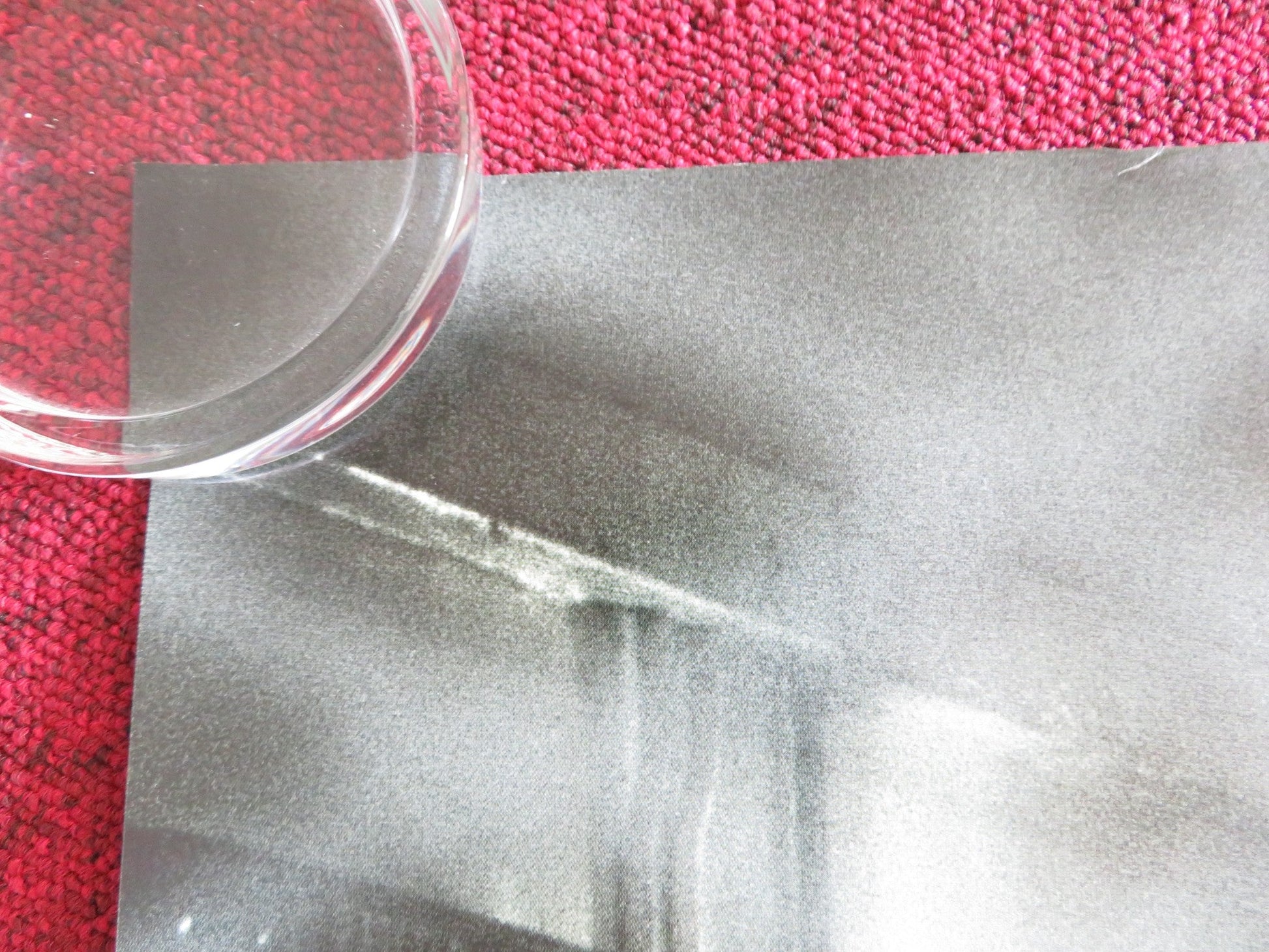 STARRED UP UK QUAD ROLLED POSTER JACK O'CONNELL GILLY GILCHRIST 2013 Rendezvous Cinema Movie posters