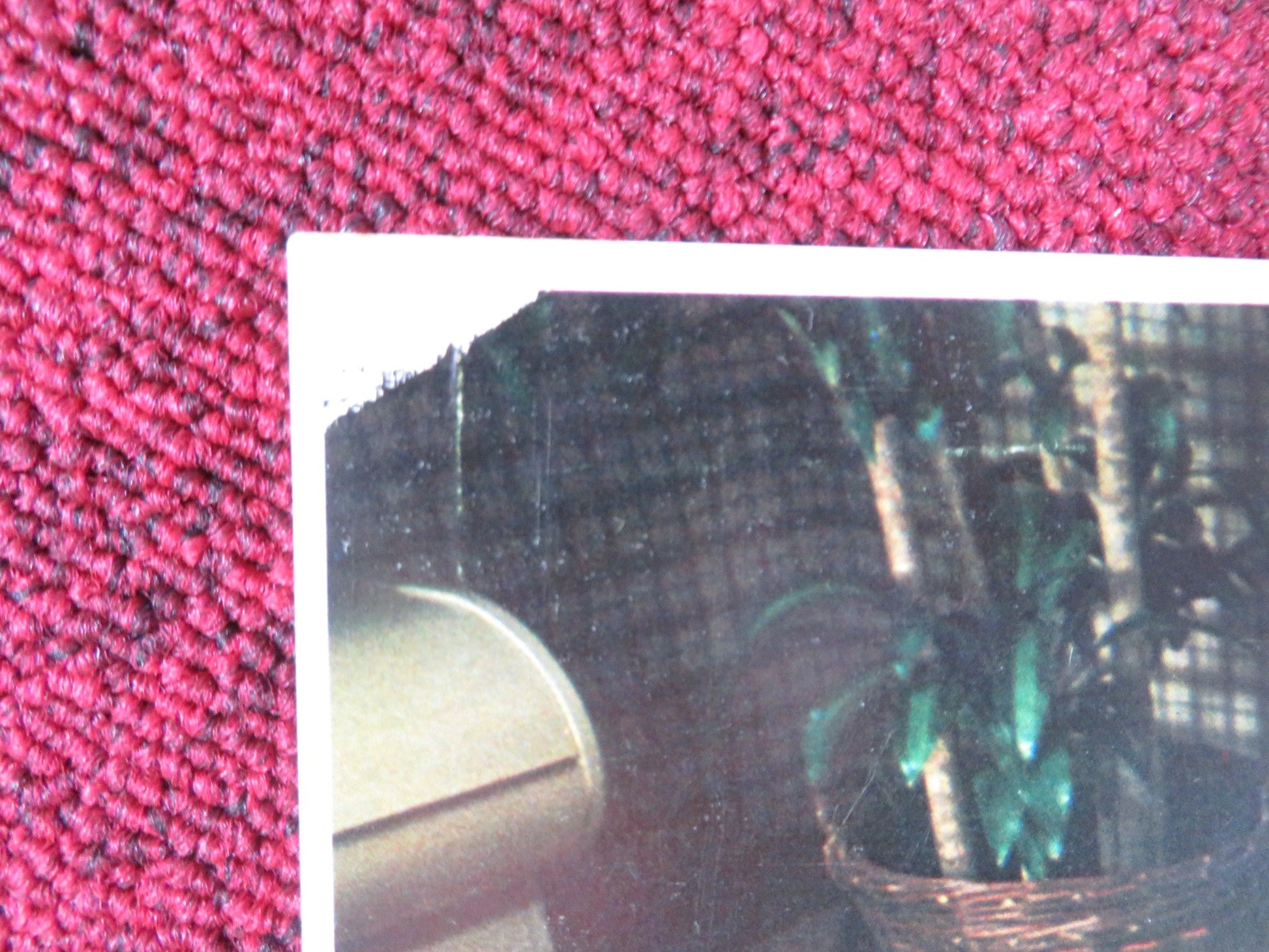 STARTING OVER - 5 LOBBY CARD BURT REYNOLDS JILL CLAYBURG 1979 Rendezvous Cinema Movie posters