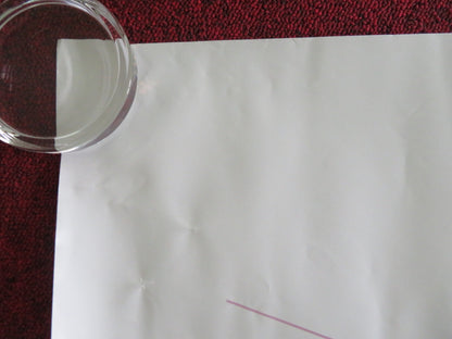 STATE OF STATELESSNESS UK QUAD ROLLED POSTER TENZIN CHOEGYAL T. DHARGAY 2024 Movie posters